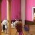 LEGO Friends Подружки из Хартлейк Сити Серия 4 Смена обстановки