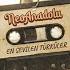 Anatolian Rock Mix Best Turkish Folk Psychedelic Gems NeoAnadolu Sessions