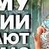 Ощущение что мы летим в пропасть Почему в России закрывают роддома