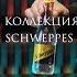Капсульная коллекция коктейлей Schweppes Masala