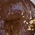 This Ferrero Rocher Recipe Broke The Internet