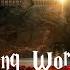 Wizarding World Suite XVI The Secrets Of Dumbledore Heartfelt Emotional Relaxing And Magical