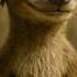 ICE AGE Realistic Generation Multifilm Iceage Iceage2 Iceage Animation Disney Shorts