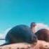 Disney Pixar Animation Studios 2016