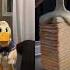 Donald Ducc Is Having Mixed Emotions Shorts