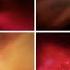 Every Doctor Who Title Sequence New Who 2005 2022