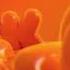 All Nickelodeon And Other Logo Reverse Normal