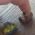 Cars 3 This Is My Last Chance Cruz Greek