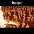 Spongebob Campfire Song Spongebob Campfire Campfiresong Krustykrab Shortfeed Shortvideo