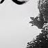 GODZILLA MINUS ONE Full Roar Scene MINUS COLOR HD Edit