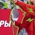 Утюг Tefal в Эльдорадо Достанется всем