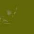 Xilam Animation Logo HD In G Major 31