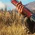 TheHunter Call Of The Wild 1 Первая Охота ГАЙД для Начинающих