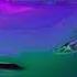 Cars 2 2011 End Credits Error On IFC May 18 2025