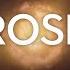 Doctor Who Rose 15th Doctor Style