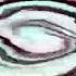 Klasky Csupo In The New G Major 33 G Major 446 V4