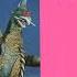 Godzilla Mothra Anguirus Rodan Ghidorah Bagan Gigan Destoroyah Toho Tokusatsu Kaiju