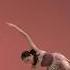 Zeyu Wang 108 Prix De Lausanne 2020 Contemporary