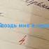 барбоскины тренды Гвоздь мне в кеды
