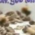 Cadbury Goo Egg Commercials Compilation