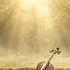 Glade Healing Solo Cello Music For Grief And Light 1 Hour BGM