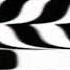 Google Play Feels Dizzy 25 By Juanmamani5336