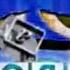 Klasky Csupo In Rj Kumar Version Of I Killed