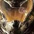 DOOM All Trailers 2014 2017 DOOM 2016 60fps 1080p