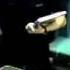 Metal Gear Solid PlayStation Commercial USA