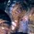 Godzilla 1998 Negative Impact Scene 3 10 Movieclips
