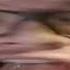 STOP POSTING ABOUT YTPMV ELF AND YTPMV LAPFOX TRAX