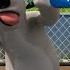 BERNARD BEAR 53 FUTEBOL Episódio Completo