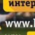 Beeline GSM Beeline Russia Logo History MAXI UPDATED IntelLog H5s