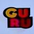 GURU Spin Master Entertainment NICKELODEON Productions