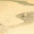 Walt Disney Pictures 2006 In G Major 7