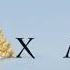 Pixar Intro Pixar Popcorn Variant