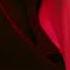 Hotel Transylvania 2012 Alternate Ending Audio Only