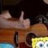 The Campfire Song Song Spongebob Squarepants Guitar Cover