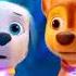 Chase X Marshall Nwshorts98 Pawpatrolthemovie Pawpatrol Pawpatrolmightypups
