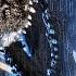 GODZILLA CLIP COMPILATION 1998 Sci Fi Movie CLIPS HD