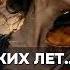 Его расстреляли через месяц Последний романс Гумилёва о любви сильнее смерти