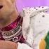 Frankini And Danger Force Perform Life Is Like A Hamburger Nickelodeon UK