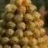 Телевизионный архив приём послов Ferrero Rocher рекламный ролик на британском телевидении 1990