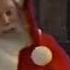 Fred Claus Movie Trailer 2007 TV Spot