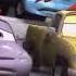Cars 2006 2009 Alternate Ending Footage Only For Guillermogiovanniuribe6848