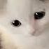 Cats The Living Tombstone Slowed Daycore