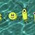 United Plankton Pictures Nickelodeon Productions Logo 2010