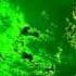Del Rio Nemesis AMBIENT SPACE MUSIC