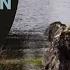 Relaxing Waves Nature Sounds Mountain Lake HD 1 Hour Birdsong Version Peaceful Series Ep 1