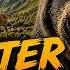 Erste Trophäen Auf Der Neuen Karte TheHunter Call Of The Wild Peru